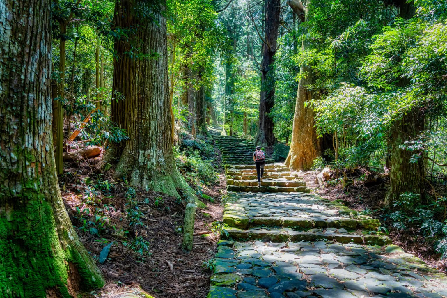 Kumano Kodo Pilgrimage Route in Wakayama, Japan