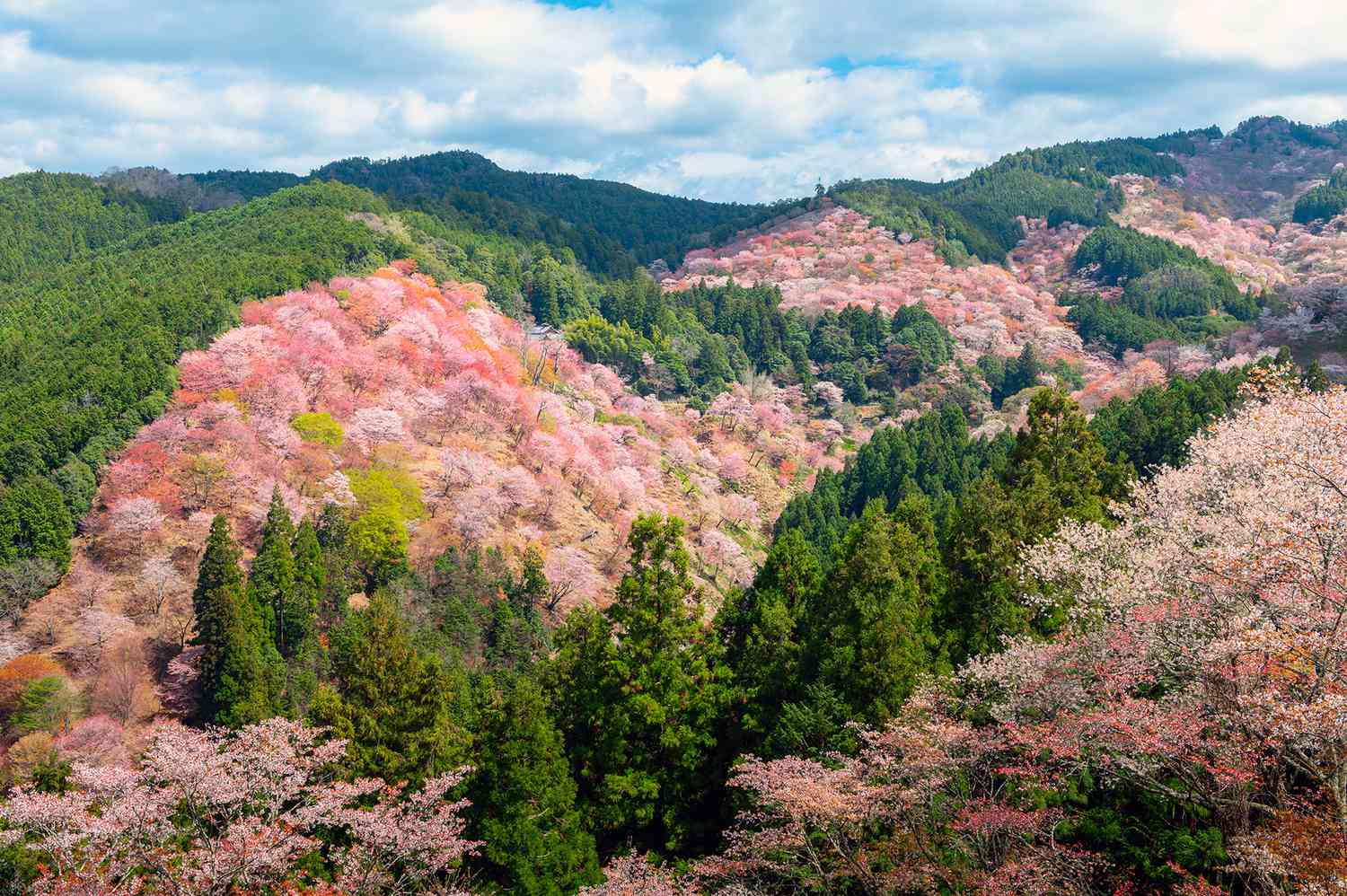 Mount Yoshino in Nara, Japan