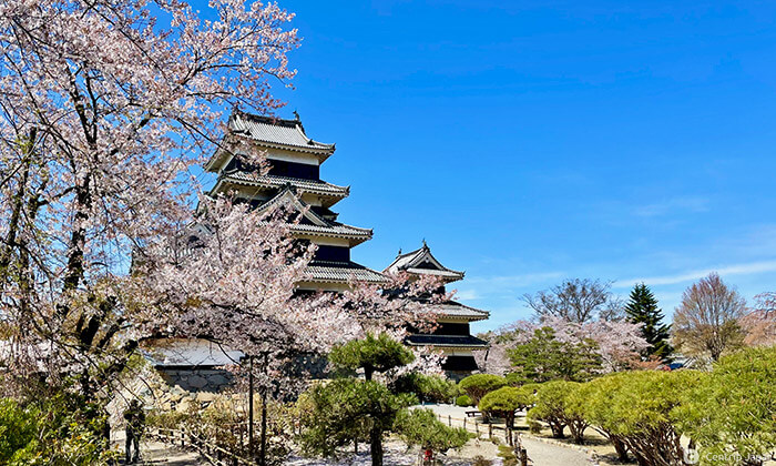 Matsumoto Castle in Nagano, Japan
